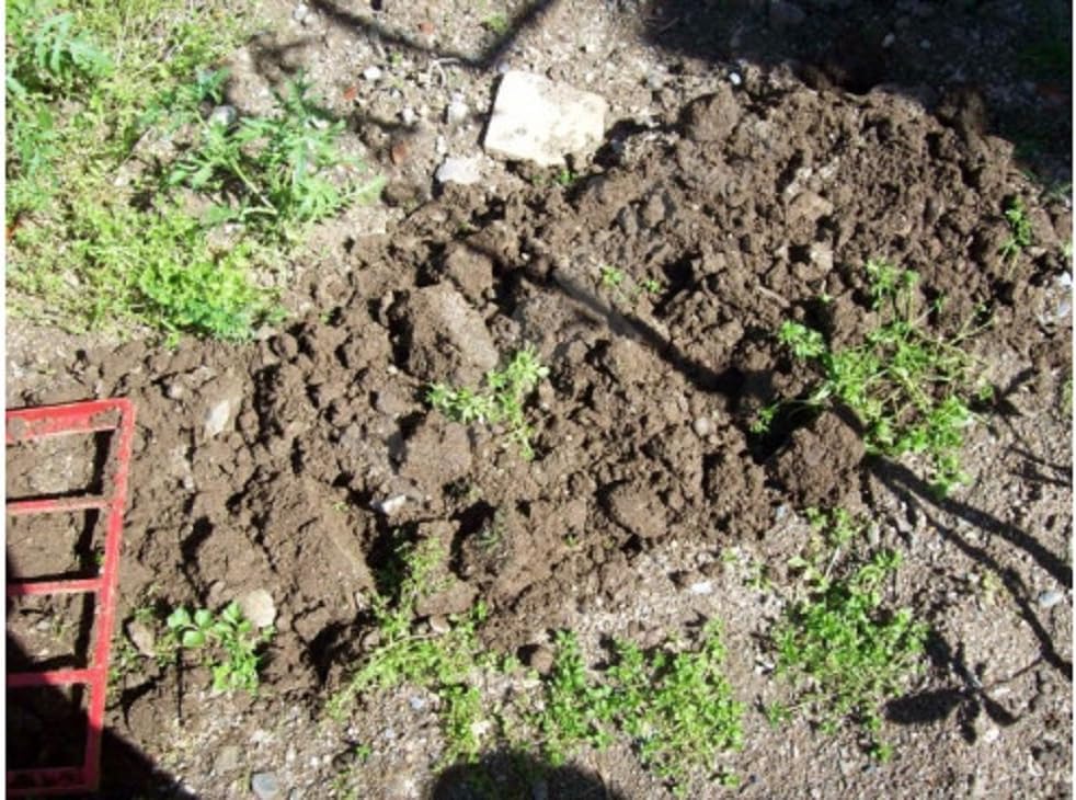 Doppelgrabegabel 4-Zähne Grabegabel Bodenlüfter Doppel Spatengabel Hacke Kultivator Bodenlockerer Ga