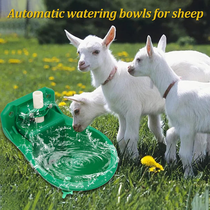 Automatische Tränkebecken für Schafe, ViehträNken mit Abflusslöchern, Automatische Wasserversorgung