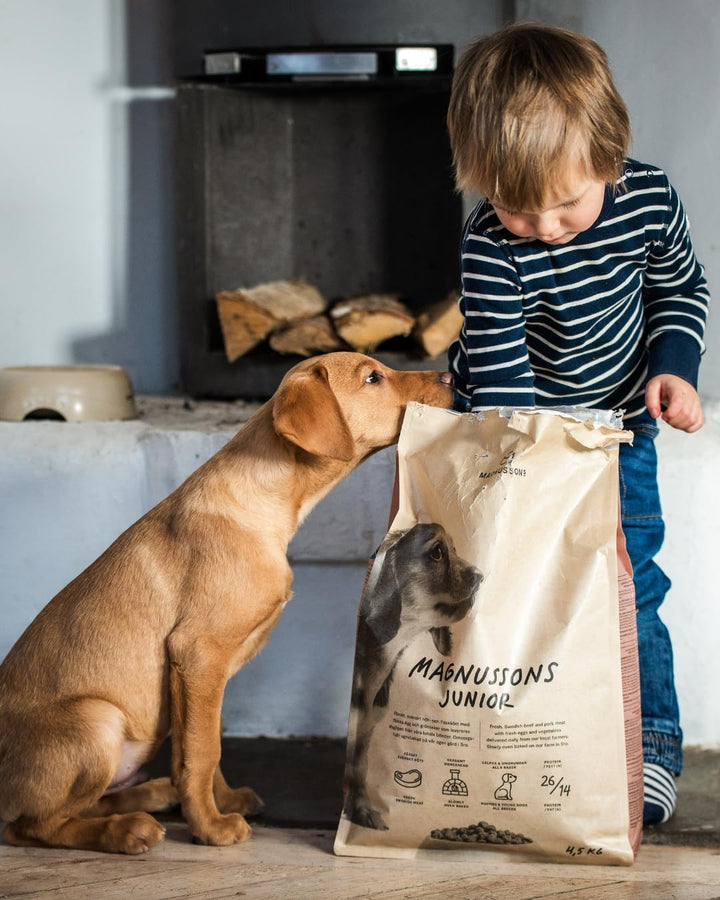 Magnusson Meat & Biscuit Junior, 1er Pack (1 x 10 kg Packung)