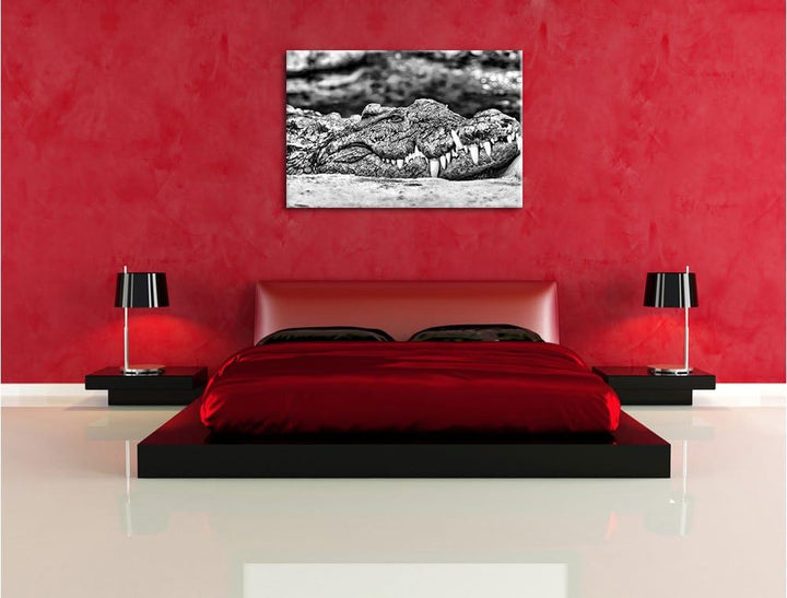 Pixxprint gigantisches Krokodil / 100x70cm Leinwandbild bespannt auf Holzrahmen/Wandbild Kunstdruck