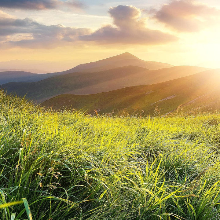 Runa Art Wandbilder Sonnenaufgang Landschaft 5 Teilig Bild auf Vlies Leinwand Deko Schlafzimmer Wohn