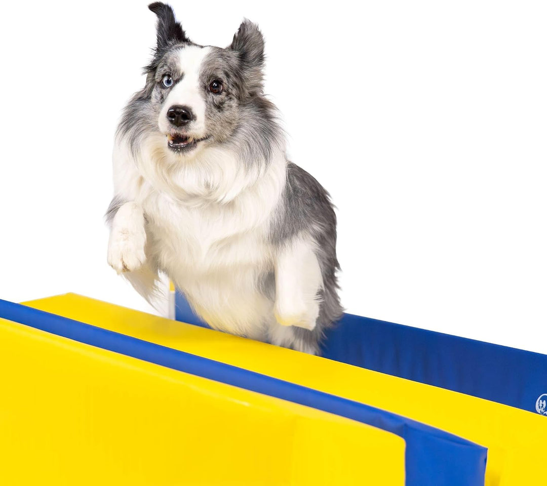 Callieway® Agility Soft-Weitsprung Sosipiri - Agility Long-Jump - FCI konform (gelb/blau ohne Eckste
