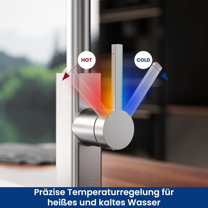 CECIPA Wasserhahn Küche Ausziehbar Edelstahl, Küchenarmatur mit Brause 2 Strahlarten, Spültischarmat