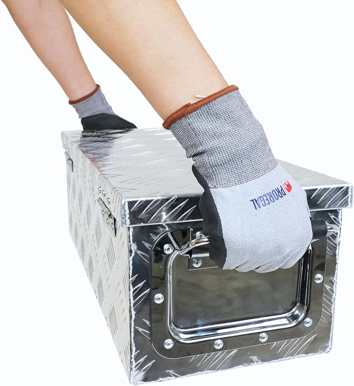 PROREGAL Deichselbox TITAN Anhängerbox für PKW Anhänger Alubox abschliessbar mit Deckel & 2 Schlüsse