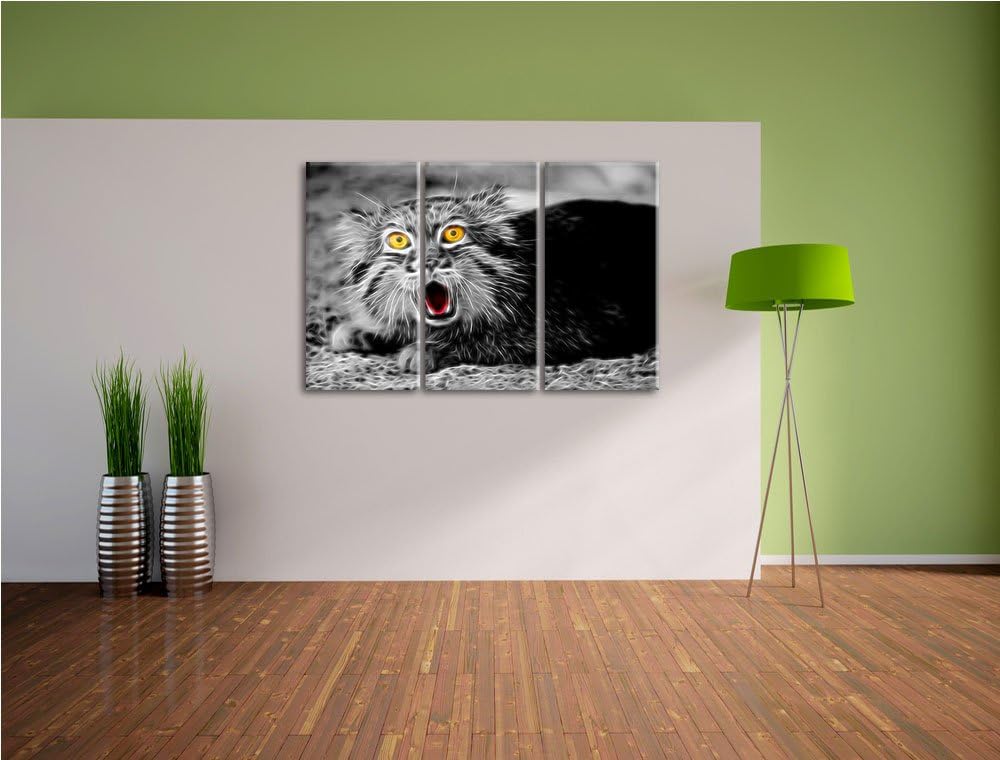 scheue Manul schwarz/weiss Deluxe 3-Teiler Leinwandbild 120x80 Bild auf Leinwand, XXL riesige Bilder