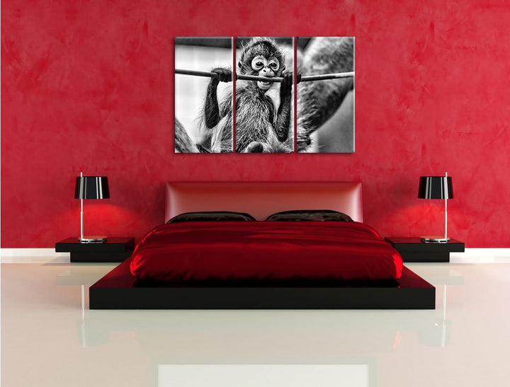 Pixxprint Orang-Utan-Junges isst als Leinwandbild/Grösse: 3 Teilig (120x80) cm/Wandbild/Kunstdruck/f