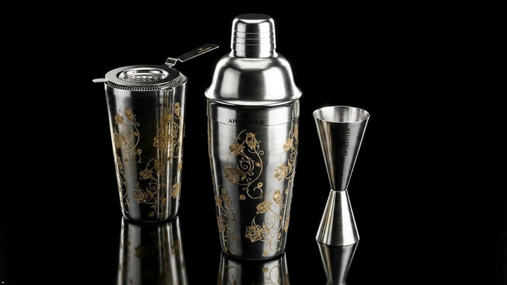 APOLLINER, Cocktail-Shaker, Shaker-Set mit professionellem Jigger, 4-teilig aus Edelstahl, leicht zu