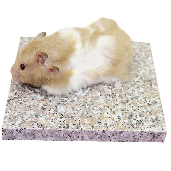 emours, kühle Granitplatte für Hamster, Chinchillas und andere Kleintiere, dekorativ, 19,8 x 15 cm