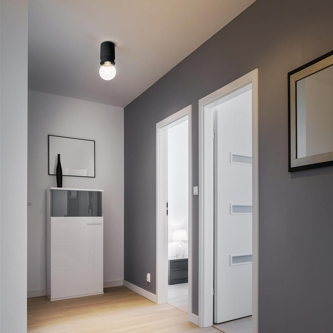 Twister Classic, anthrazit (RAL 7016), architects choice, einfache Montage. Keine Schrauben, ein Hak