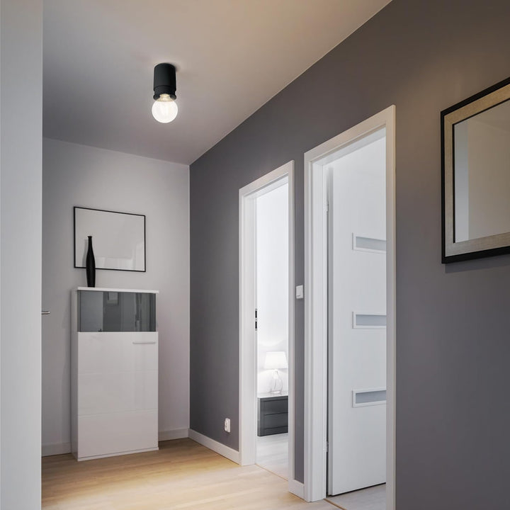 Twister Classic, anthrazit (RAL 7016), architects choice, einfache Montage. Keine Schrauben, ein Hak
