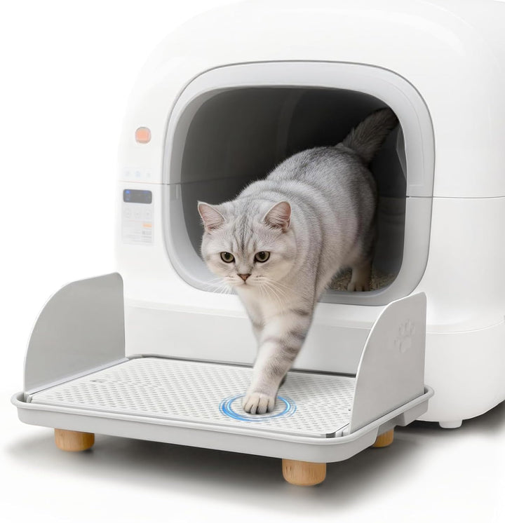 Katzenstreu Rampe mit Filterfunktion - rutschfeste Katzentoilettenstufe mit 4cm Hohe Holzfüsse - Kat