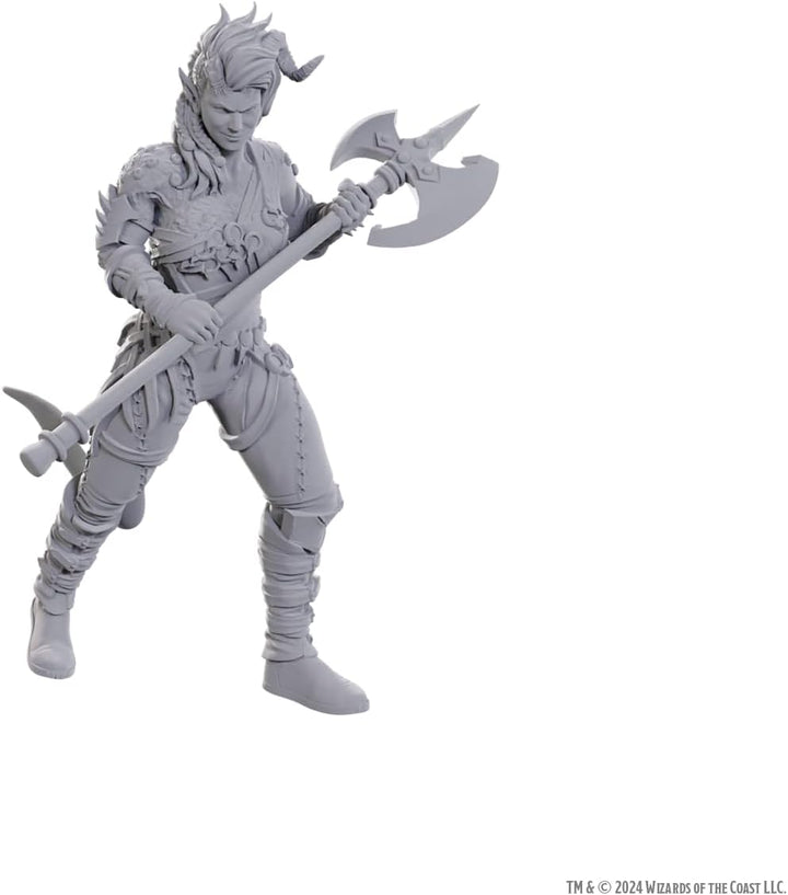 Wizkids - D&D Nolzurs Marvelous Miniatures: Special Edition Baldurs Gate 3 - Wyll & Karlach, Wyll &