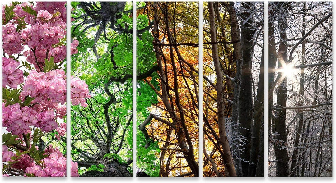 islandburner Bild auf Leinwand Vier Jahreszeiten Bilder Wandbilder Poster Leinwand 160x80cm - 5 Teil