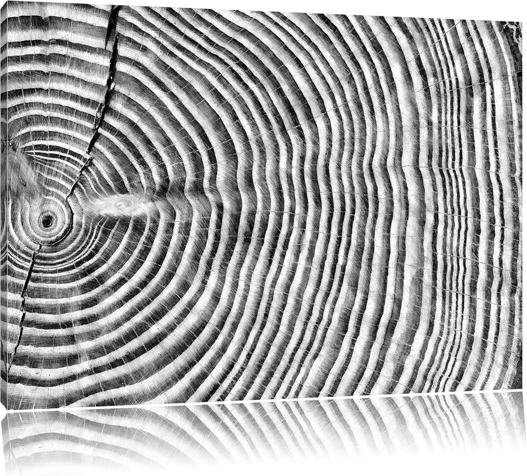 Pixxprint Monocrome, Mächtiger Baumstamm mit Jahresringen, Format: 100x70 auf Leinwand, XXL riesige