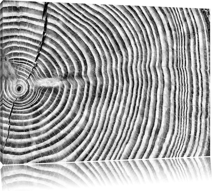 Pixxprint Monocrome, Mächtiger Baumstamm mit Jahresringen, Format: 100x70 auf Leinwand, XXL riesige