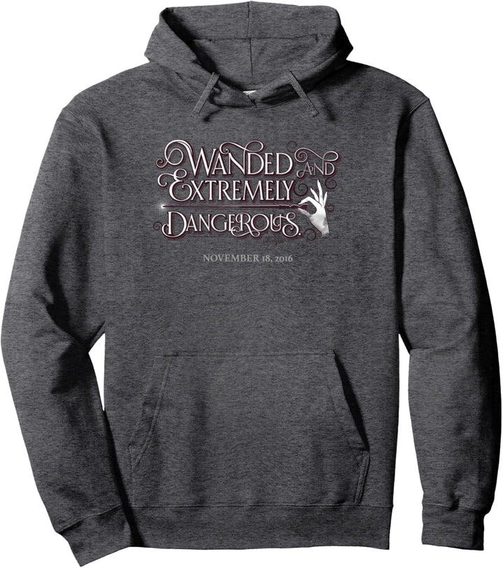 Fantastic Beasts Wanded Pullover Hoodie