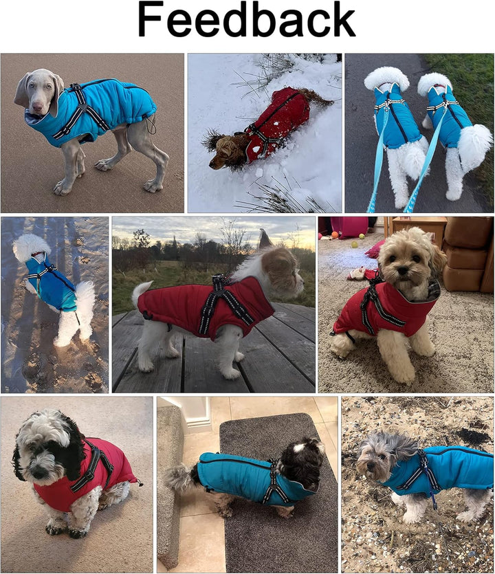 MOREZI Winterhundejacke, wasserdichte Aussenschicht, Fleecefutter, Rückenreissverschluss-Design, mit