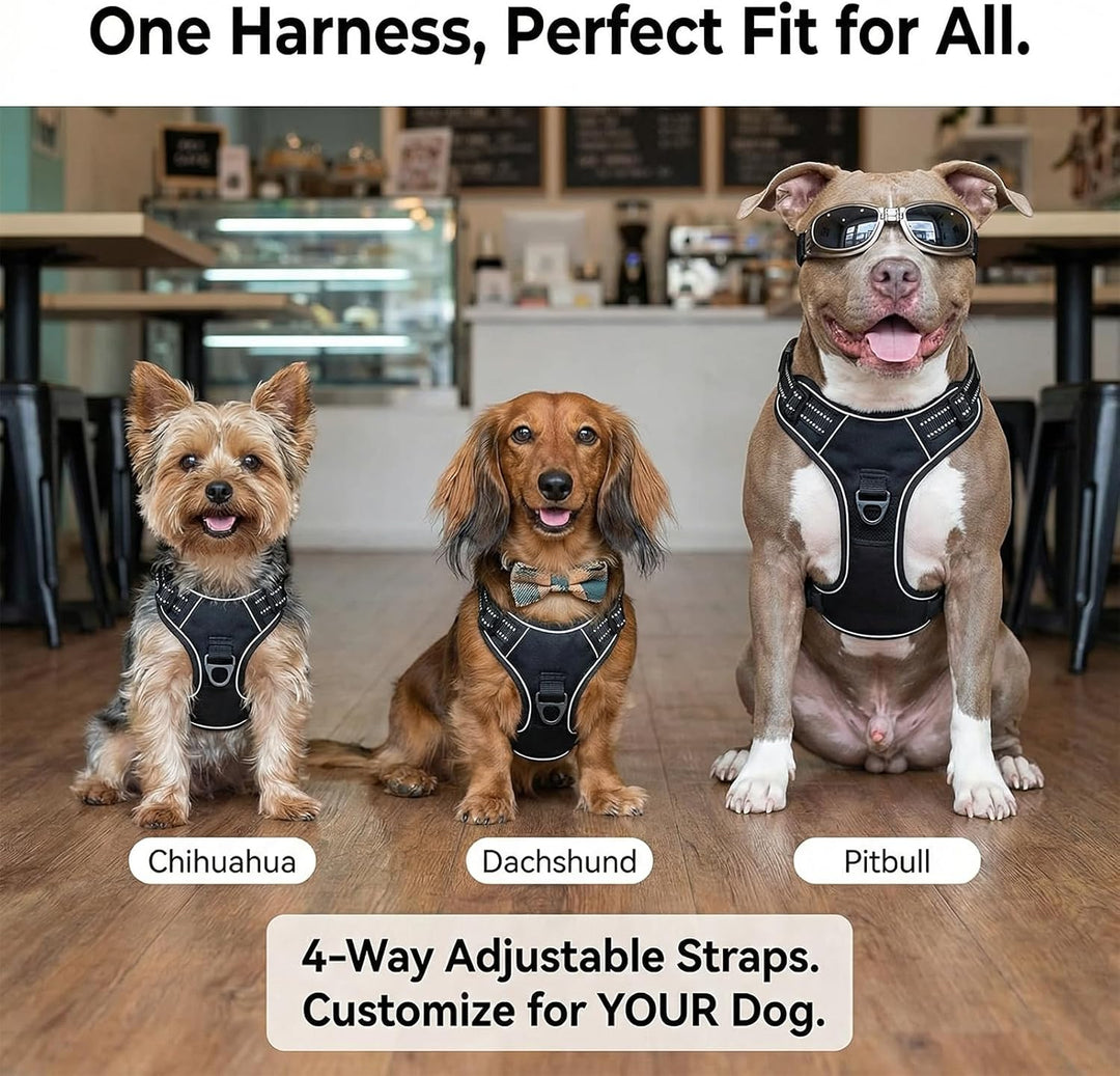 Hundegeschirr mit Griff， mittelgrosse & Grosse Hunde - Hunde Geschirr，Atmungsaktiv Reflexstreifen Br