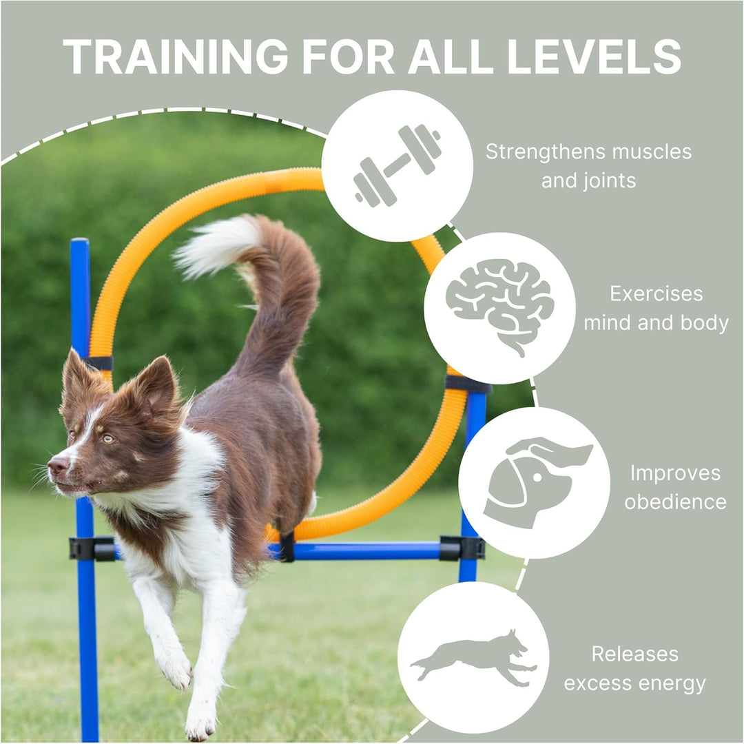 Trixie Agility Ring, 115×ø 3 cm, ø 65 cm