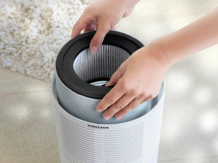 Soehnle Ersatzfilter kompatibel mit Luftreiniger Airfresh Clean 400 für saubere Luft, Kombifilter, a