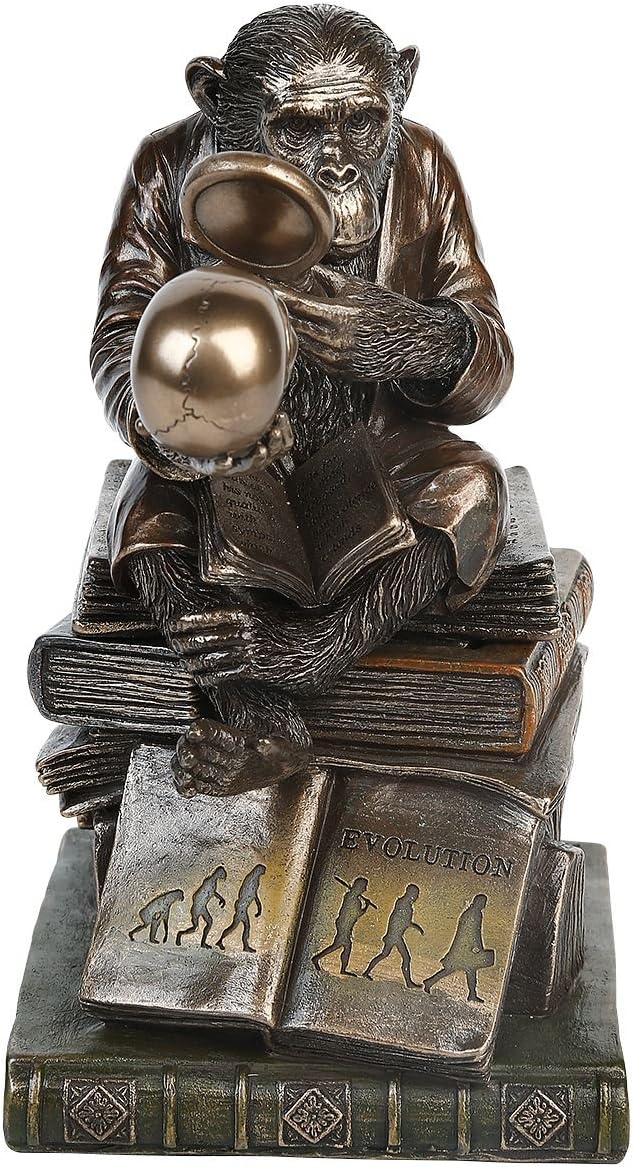 Nemesis Now Darwinism of Evolutionary Theory Box, Bronze, Harz, 17,5 cm