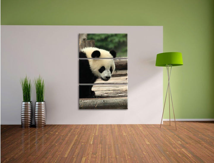 Pixxprint Panda auf Holzstämmen als Leinwandbild/Grösse: 3 Teilig (120x80) cm/Wandbild/Kunstdruck/fe