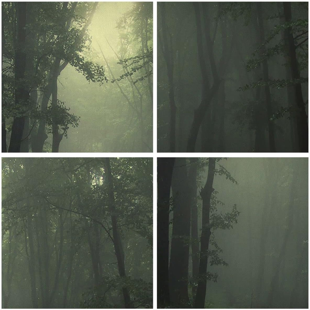 Wandbilder Dekoration Wohnzimmer Wald Nebel Baum Panorama Bilder auf Leinwand 120x50cm Leinwandbild