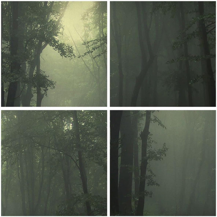 Wandbilder Dekoration Wohnzimmer Wald Nebel Baum Panorama Bilder auf Leinwand 120x50cm Leinwandbild
