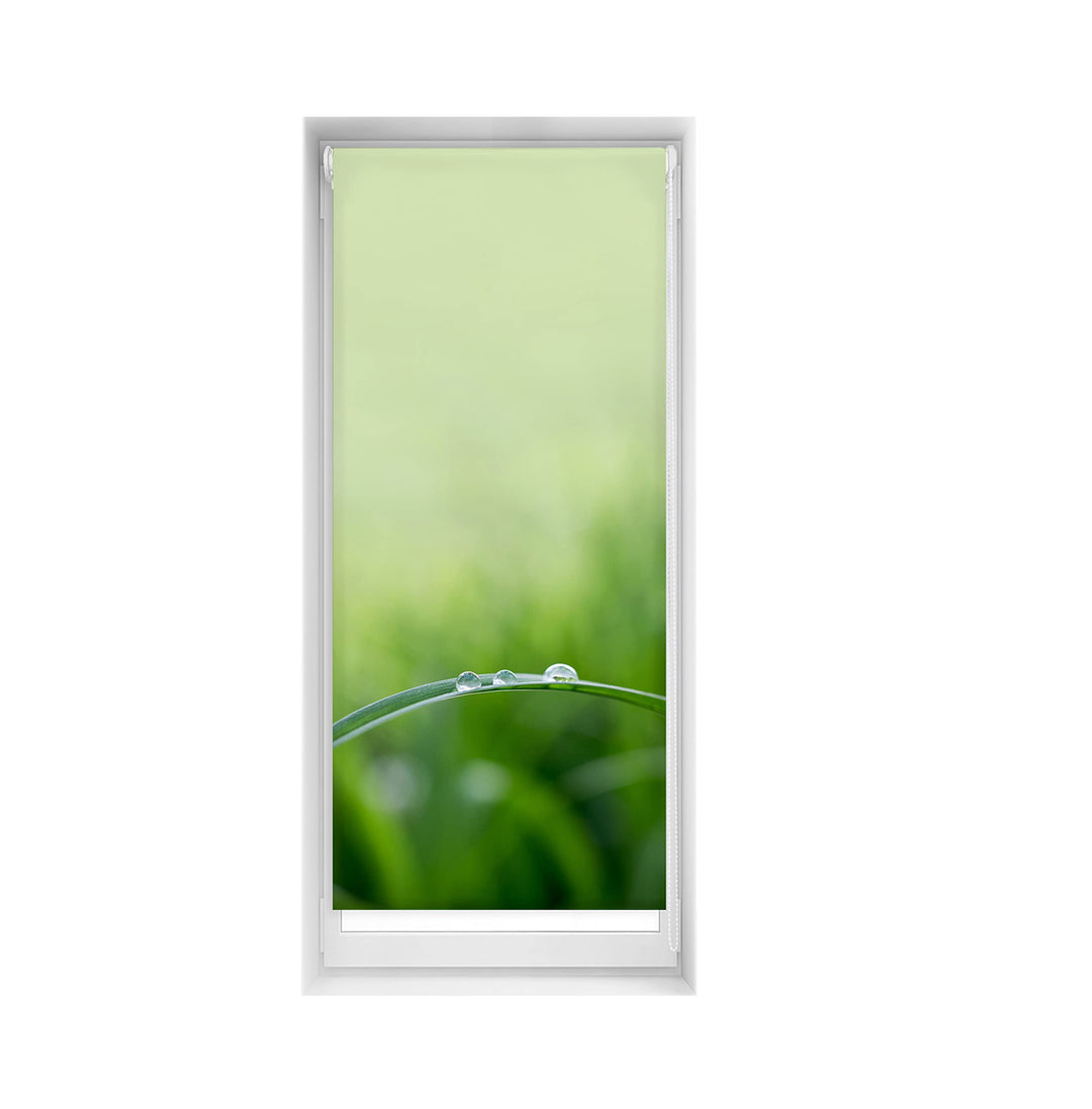 Blindecor Easy Verdunkelungsrollo ohne Bohren, Bedruckt, Blackout, Digitaldruck, Quietud, 65 x 150 c
