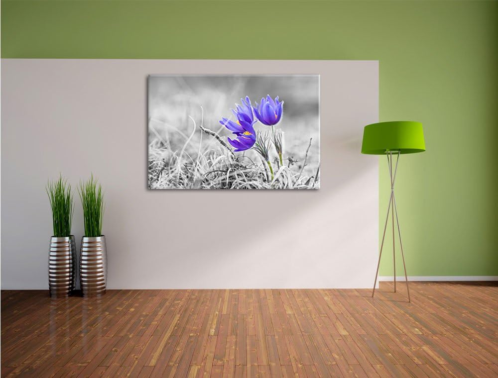 Pixxprint schöne Krokusse als Leinwandbild | Grösse: 100x70 cm | Wandbild | Kunstdruck | fertig besp