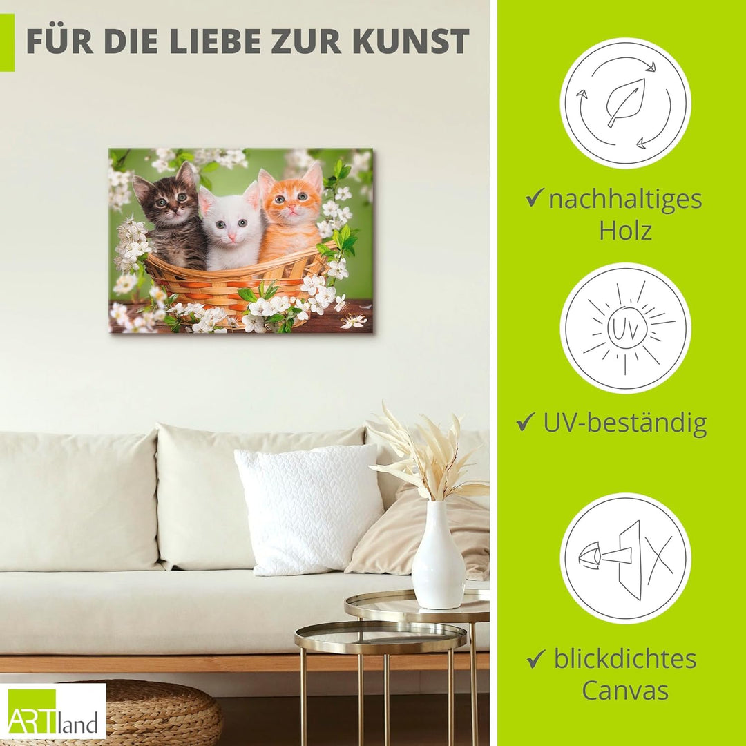 Artland Leinwandbild Wandbild Bild auf Leinwand 70x50 cm Wanddeko Katze Tiere Katzenbaby Baby Landha