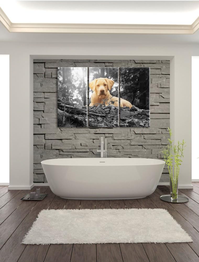 Pixxprint Hund im Wald bei Sonneuntergang / 3-Teilig/Gesamtmass 120cm Leinwandbild bespannt auf Holz