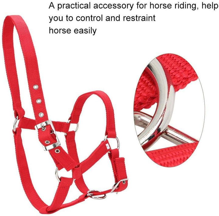 YOUTHINK Horse Halter High Density 6Mm Verdicktes Gurtband Horse Bridle Control Halfter Reitzubehör