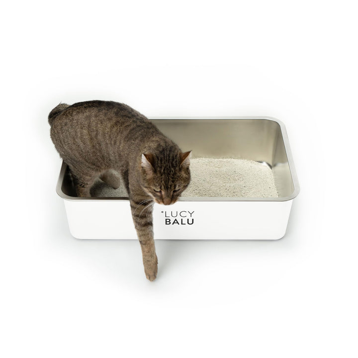 LucyBalu® Edelstahl Katzenklo geruchsfrei | grosse Katzentoilette aus Edelstahl | offenes Katzenklo