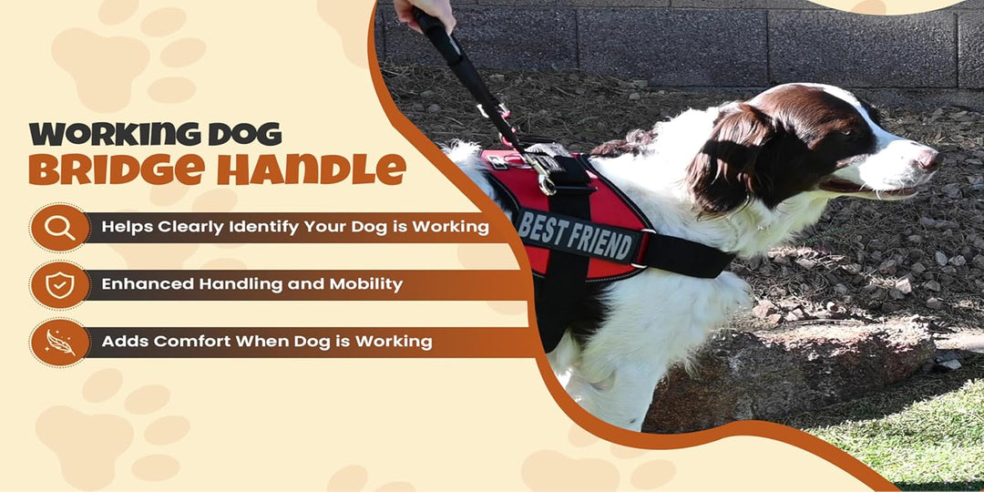 Doggie Stylz Service Dog Bridge Handle Guide Hundegeschirr – strapazierfähiges Hundezubehör – unverz