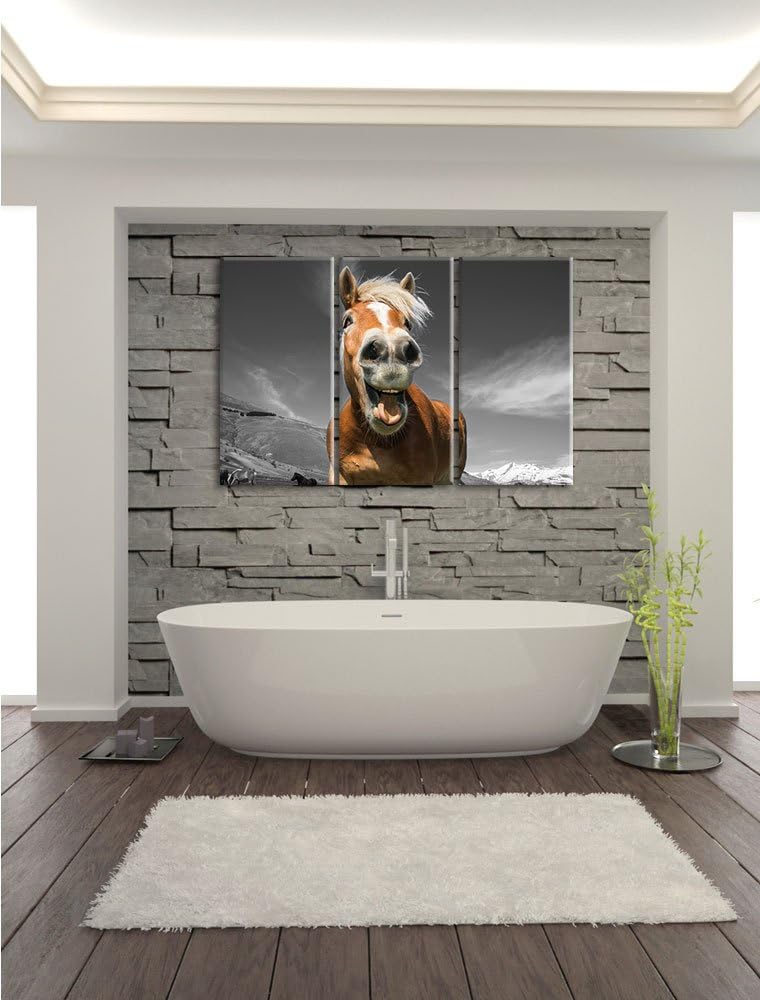 Pixxprint Lustiges Pferd in der Natur B&W Detail 3-Teiler Leinwandbild 120x80 Bild auf Leinwand