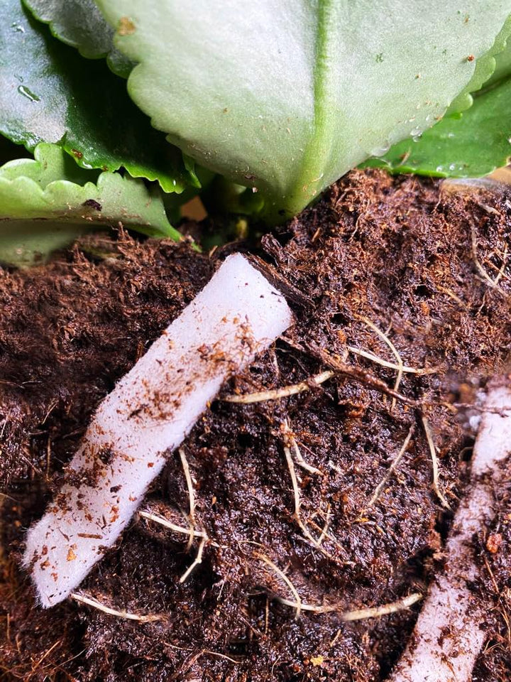 Lite-Soil Wasserspeicher für Pflanzen LITE-Strips Bio5 100% abbaubar/biologisch kompostierbar (10 L)