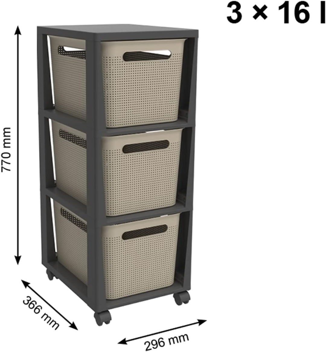 Rotho Brisen Rollcontainer mit 3 Schubladen, Kunststoff (PP recycelt), Cappuccino, 3 x 16 l (36,6 x