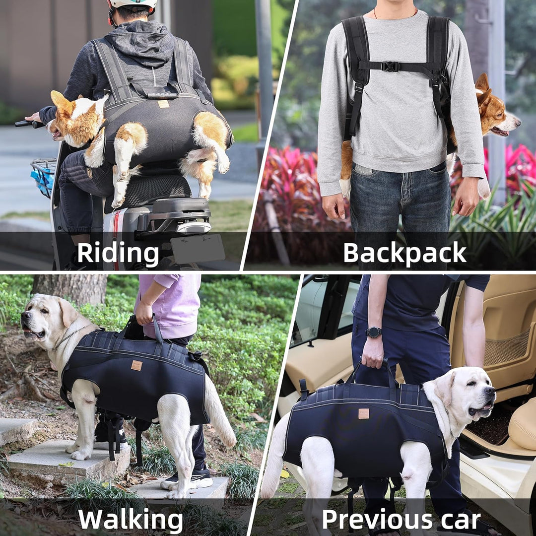 BT Bear Grosse Hundetragetasche, Hunderucksack, Haustierbeinstütze, Hundegeschirr, Tragetasche für ä