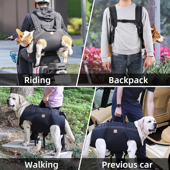 BT Bear Grosse Hundetragetasche, Hunderucksack, Haustierbeinstütze, Hundegeschirr, Tragetasche für ä