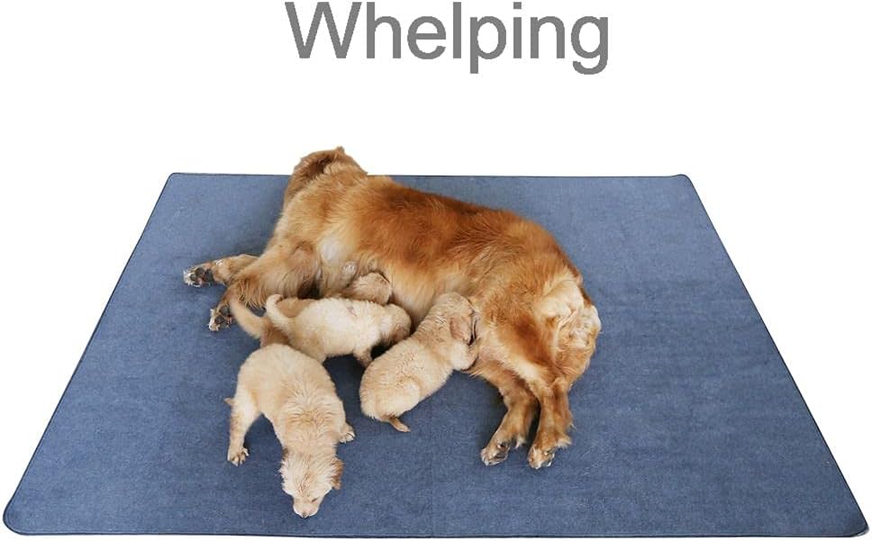 Upgrade Non-Slip Dog Pads Extra Large 72" x 72", Washable Puppy Pads with Fast Absorbent, Reusable,