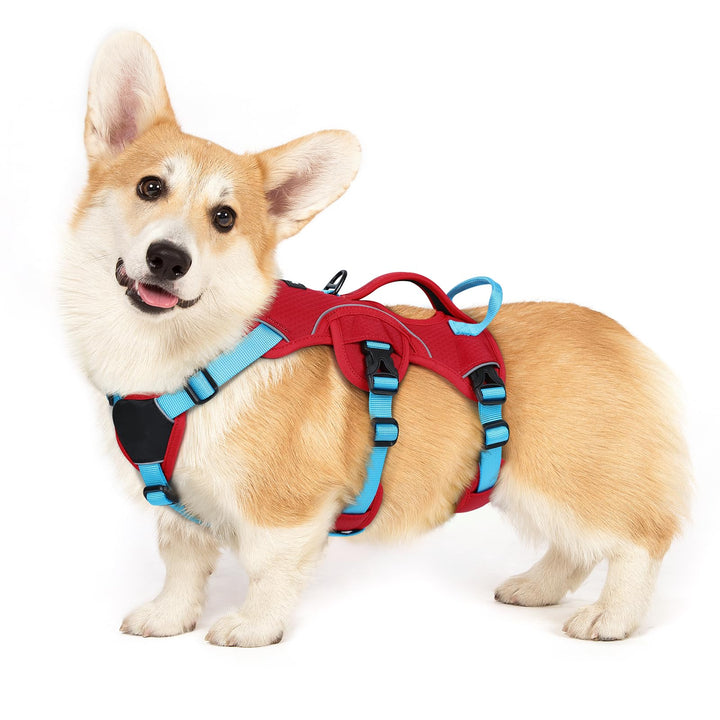 rabbitgoo Hundegeschirr Mittelgrosse Hunde，Sicherheitsgeschirr Hund | Sicherer Hebegriff, einfache K