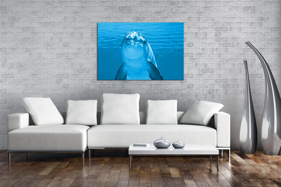 deyoli entzückender Delphin Format 80x60 Effekt: Monocrome Blau als Leinwandbild, Motiv fertig gerah