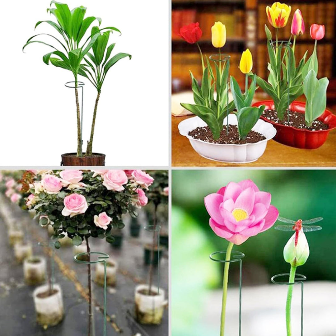 10 Stücke Staudenhalter, Strauchstütze, Blumenstütze, Metall Garten Stützring, Pflanzenhalter Ringkä