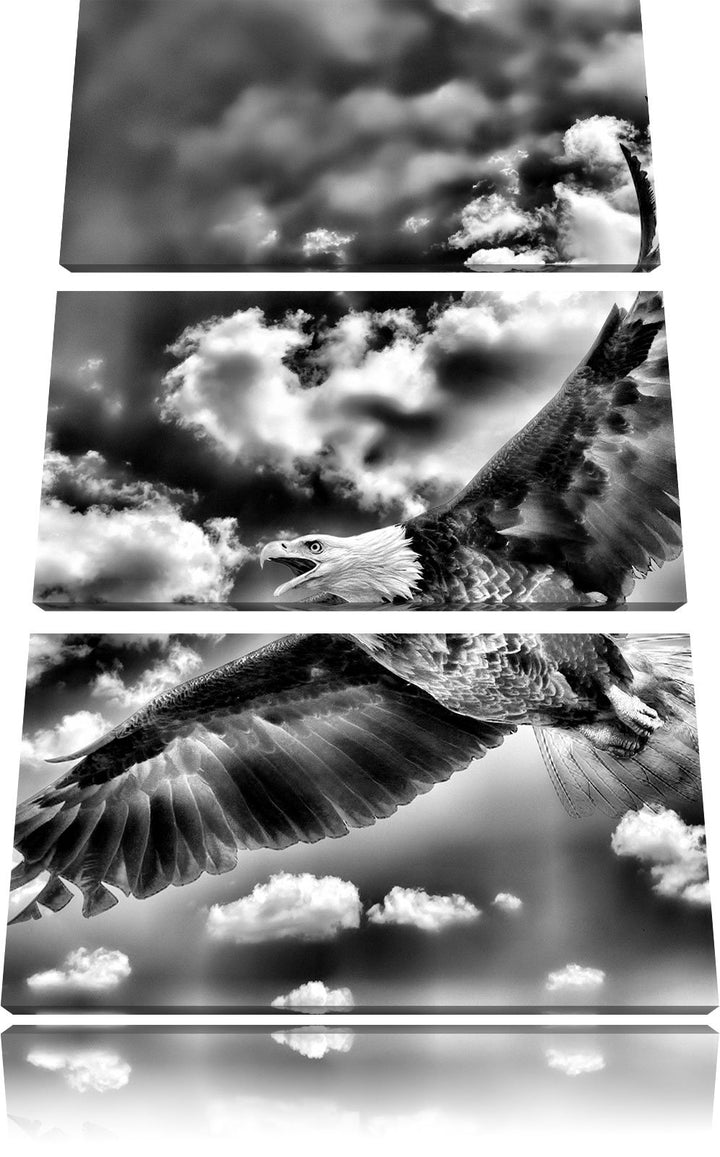 Pixxprint Adler fliegt über Berge als Leinwandbild/Grösse: 3 Teilig (120x80) cm/Wandbild/Kunstdruck/