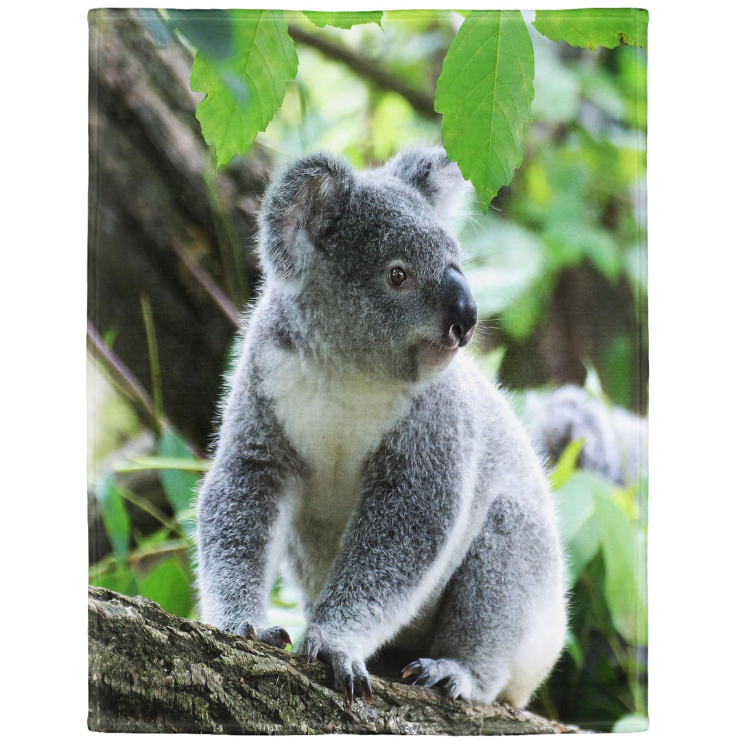 YISUMEI Decke 150x200cm Flauschige Kuscheldecke Weich Flanell Fleecedecke Koala Sitzen 150 x 200 cm,