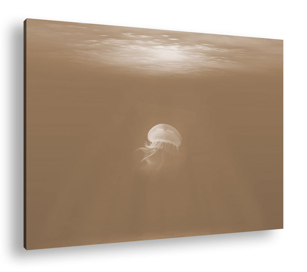deyoli schwebende Qualle unter dem Meeresspiegel Format: 80x60 als Leinwand, Effekt: Sepia, Motiv fe