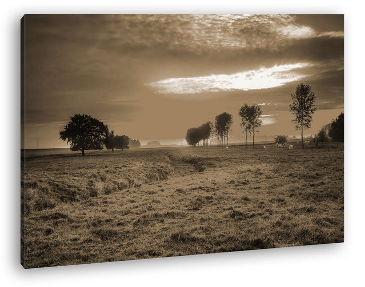 Sonnenaufgang auf den Wiesen Format: 100x70 Effekt: Sepia als Leinwand, Motiv fertig gerahmt auf Ech