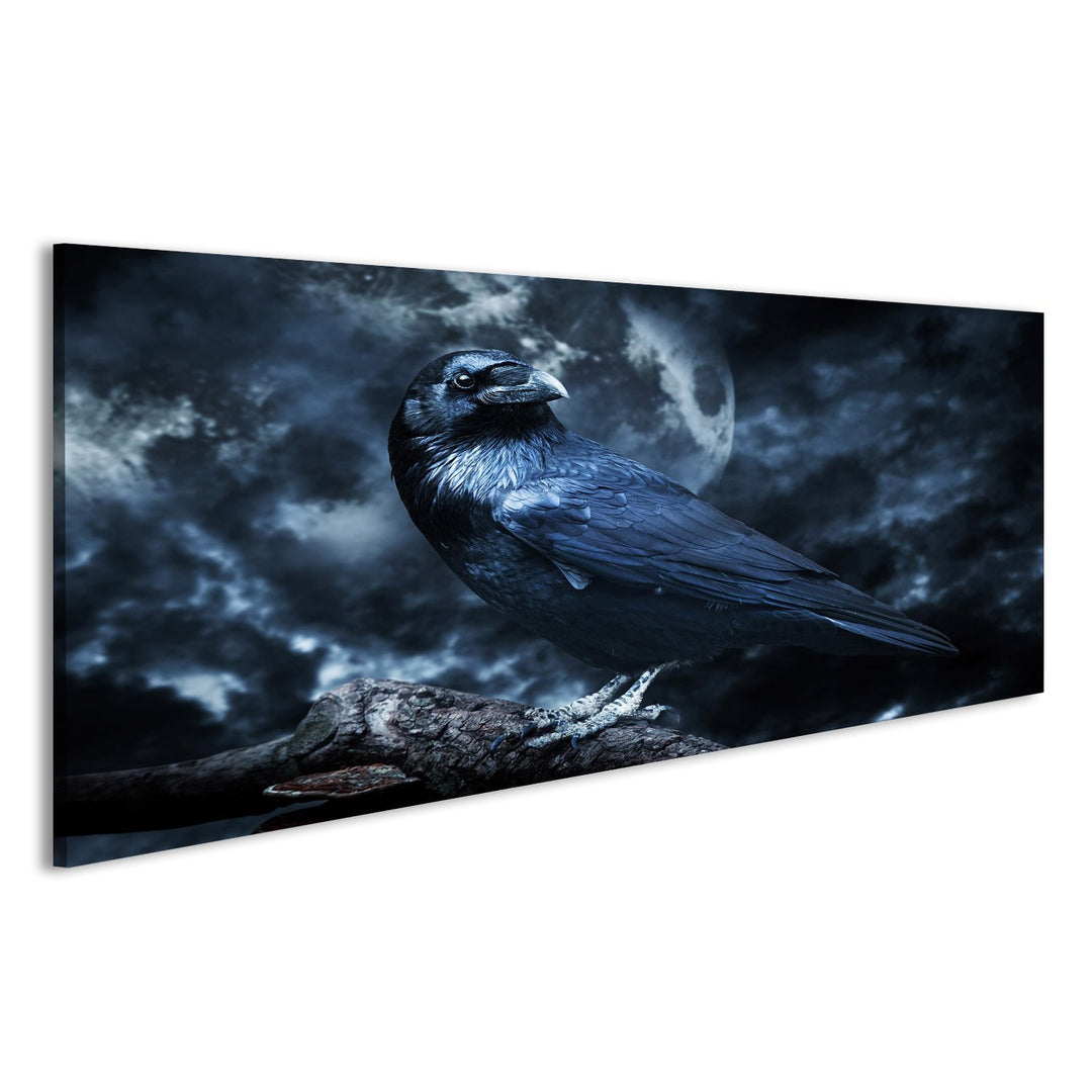 Bild Bilder auf Leinwand Schwarzer Rabe im Mondschein hockte auf Baum. Gruselig Wandbild, Poster, Le