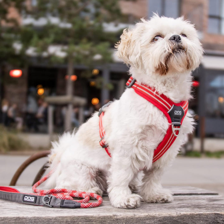 DOG Copenhagen Hundegeschirr V2 Walk Harness (Air) Wild Rose Grösse XL XL Wild Rose | Pink (Version